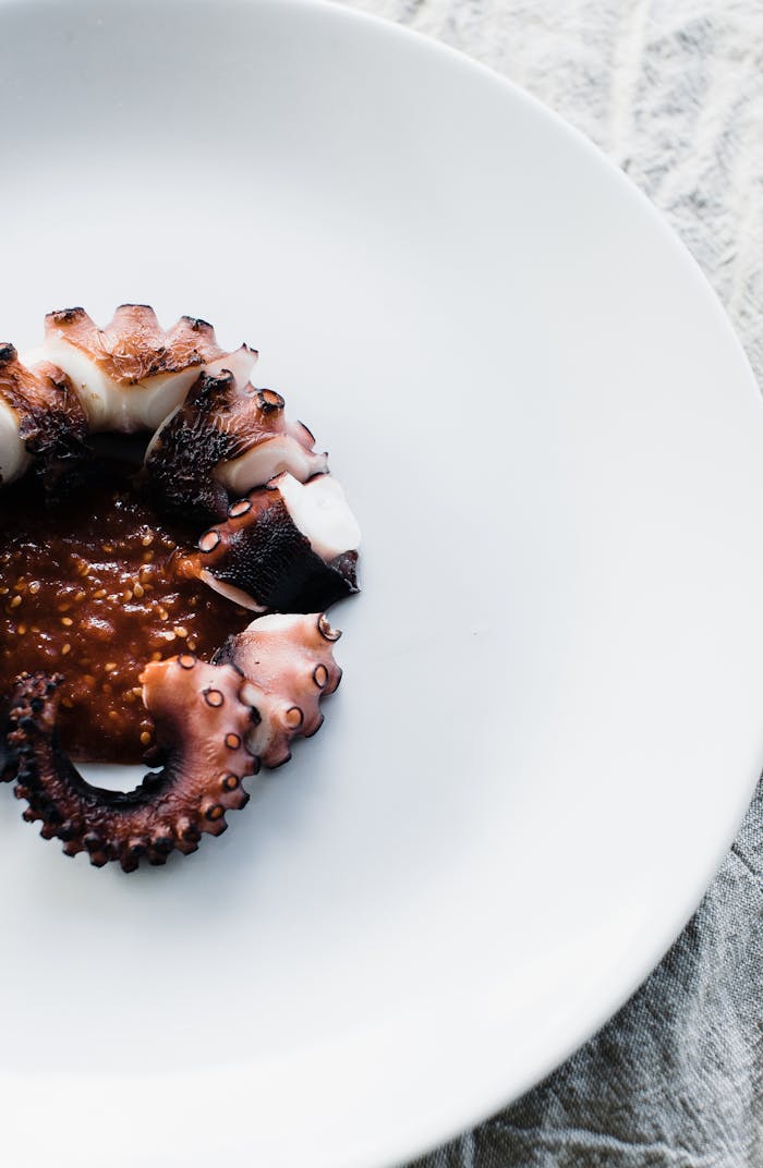 services-01 Close-up view of a cooked octopus tentacle served on a white plate, highlighting its gourmet presentation.